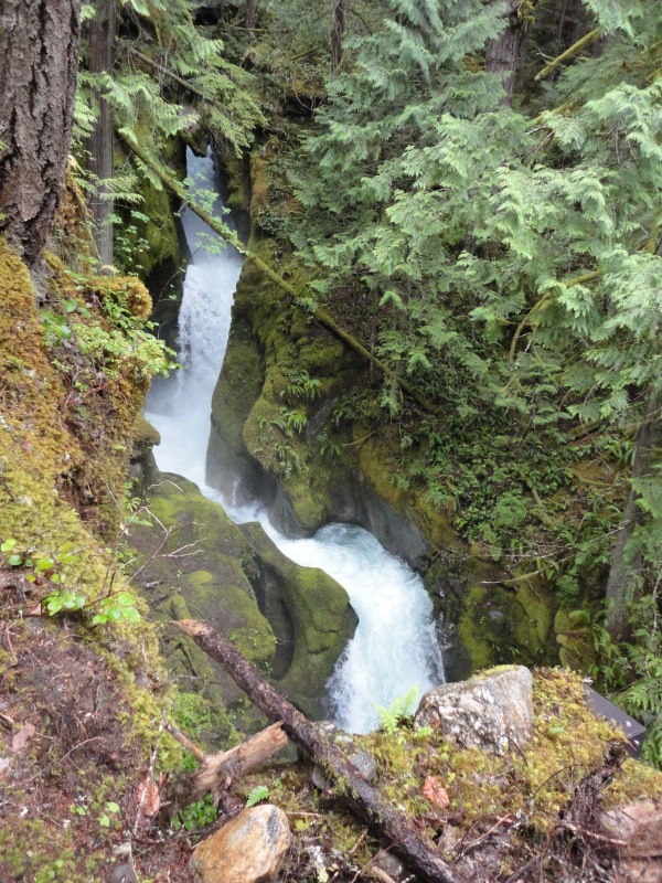 Ladder Creek Falls
