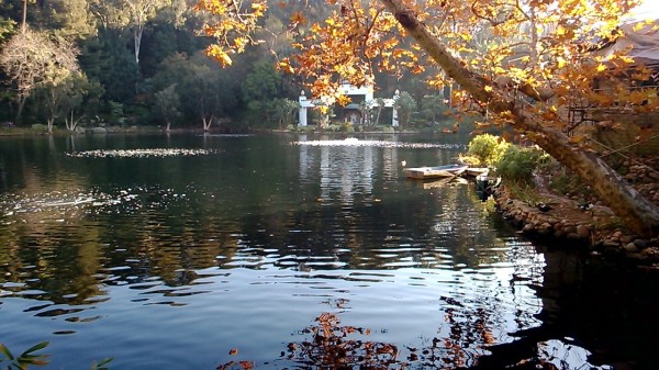 Lake Shrine Temple garden