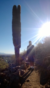 Tall cactus on the trail at Camelback mountain